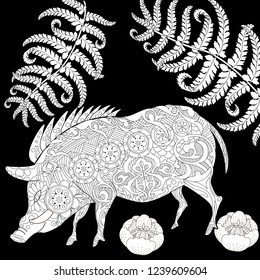 Coloring Pages. Coloring Book for adults. Cute Pig - 2019 Chinese New Year symbol. Antistress freehand sketch drawing with doodle and zentangle elements.