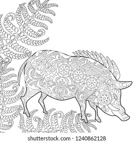 Coloring Pages. Coloring Book for adults. Cute Pig - 2019 Chinese New Year symbol. Antistress freehand sketch drawing with doodle and zentangle elements.