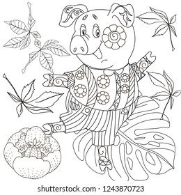 Coloring Pages. Coloring Book for children and adults. Cute Pig - 2019 Chinese New Year symbol. Antistress freehand sketch drawing with doodle and zentangle elements.