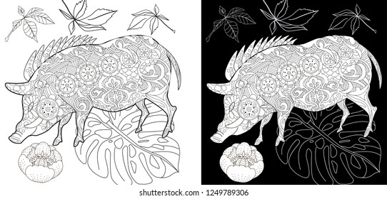 Coloring Pages. Coloring Book for children and adults. Cute Pig - 2019 Chinese New Year symbol. Antistress freehand sketch drawing with doodle and zentangle elements.