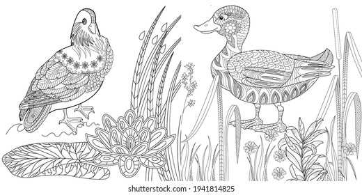 Coloring Pages. Coloring Book for children and adults. Colouring pictures with birds. Antistress freehand sketch drawing with doodle and zentangle elements.