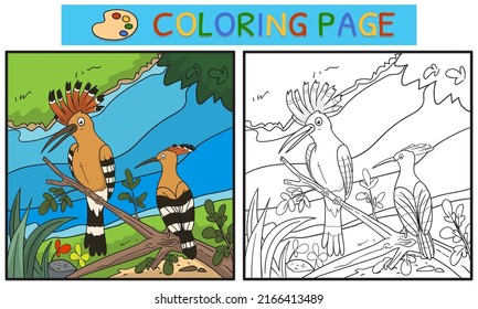 coloring pages or books for children. cute hoopoe illustration on the tree