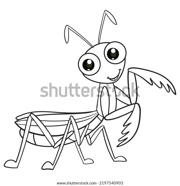 Coloring Pages Books Kids Cute Mantis Stock Vector (Royalty Free ...