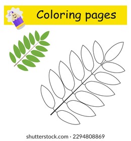 Coloriendo páginas. Vector de hojas de rowan de dibujos animados. Ilustración para la educación de los niños. Diseño plano.