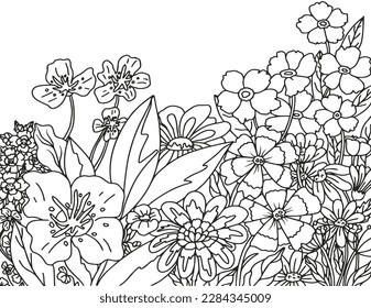 Coloring pages for children and adults.Blooming garden illustration hand drawing.   