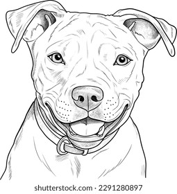 coloring pages, color paged worksheet 