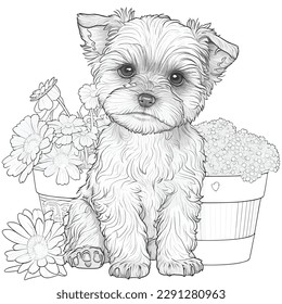 coloring pages, color paged worksheet 