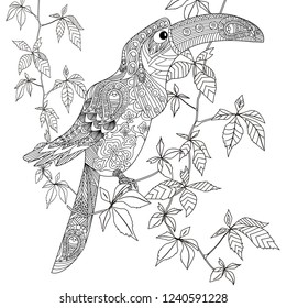 Coloring Pages. Colouring pictures with bird and flowers. Antistress sketch drawing with doodle and zentangle elements.