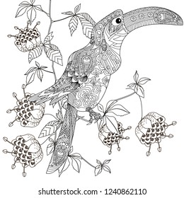 Coloring Pages. Colouring pictures with bird and flowers. Antistress freehand sketch drawing with doodle and zentangle elements.