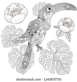 Coloring Pages. Colouring pictures with bird and flowers. Antistress freehand sketch drawing with doodle and zentangle elements.