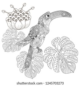 Coloring Pages. Colouring pictures with bird and flowers. Antistress freehand sketch drawing with doodle and zentangle elements.