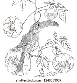 Coloring Pages. Colouring pictures with bird and flowers. Antistress freehand sketch drawing with doodle and zentangle elements.