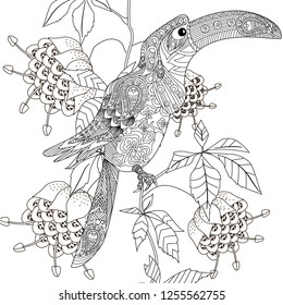 Coloring Pages. Colouring pictures with bird and flowers. Antistress freehand sketch drawing with doodle and zentangle elements.