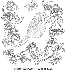 Coloring Pages. Colouring pictures with bird. Antistress freehand sketch drawing with doodle and zentangle elements.