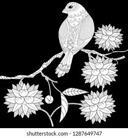 Coloring Pages. Colouring pictures with bird. Antistress freehand sketch drawing with doodle and zentangle elements.