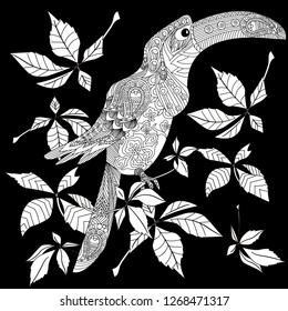 Coloring Pages. Colouring pictures with birds. Antistress freehand sketch drawing with doodle and zentangle elements.