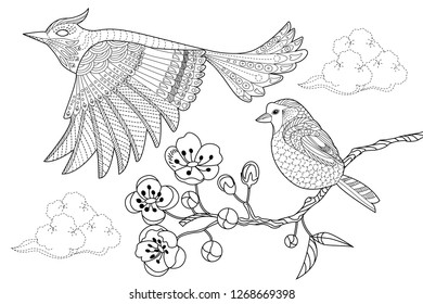 Coloring Pages. Colouring pictures with birds. Antistress freehand sketch drawing with doodle and zentangle elements.