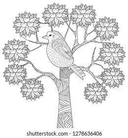 Coloring Pages. Colouring pictures with birds. Antistress freehand sketch drawing with doodle and zentangle elements.
