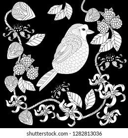 Coloring Pages. Colouring pictures with birds. Antistress freehand sketch drawing with doodle and zentangle elements.