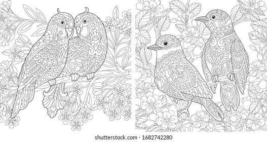 Coloriendo páginas. Un par de hermosos pájaros en el jardín de flores de primavera. Diseño de líneas de arte para adultos o niños coloreando libros en estilo zentangle. Ilustración vectorial. 