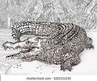 
Coloring pages. Crocodile, alligator against the backdrop of the jungle.