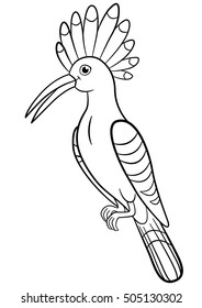 Coloring pages. Cute beautiful hoopoe sits and smiles.