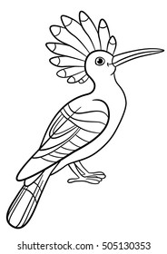 Coloring pages. Cute beautiful hoopoe sits and smiles.