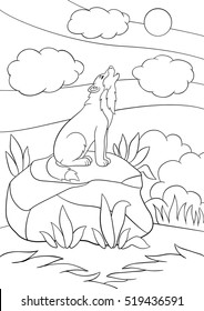 Coloring pages. Cute beautiful wolf sits on the stone and howling.