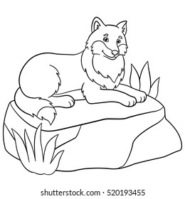 Coloring pages. Cute beautiful wolf lies on the stone and smiles.