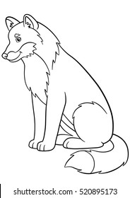 Coloring pages. Cute beautiful wolf sits and smiles.