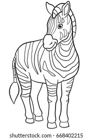 Coloring pages. Cute beautiful zebra stands and smiles.