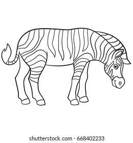 coloring pages cute beautiful zebra stands stock vector royalty free 668402233