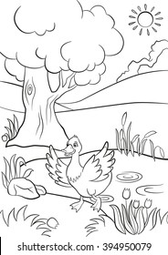 Coloring Pages Cute Duck Runs Pond Stock Vector (Royalty Free ...