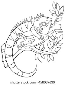 Coloring pages. Cute iguana sits on the tree branch and smiles.