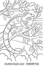 Coloring pages. Cute iguana sits on the tree branch and smiles.