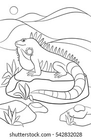Coloring pages. Cute iguana sits on the rock and smiles.