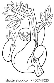 Coloring pages. Cute lazy sloth hangs on the tree and smiles.