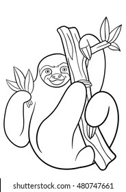 Coloring pages. Cute lazy sloth hangs on the tree and smiles.