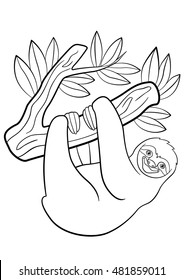 Coloring pages. Cute lazy sloth hangs on the tree and smiles.