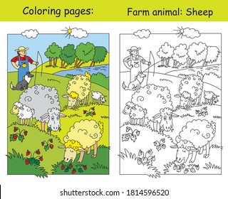 Farbige Seiten mit süßen Schafen auf der Wiese und Schäfer mit seinem Hund. Cartoon, Vektorgrafik. Farbiges und farbiges Bild von Schafen. Bild oder Design, Vorschulerziehung, Druck und Spiel. 