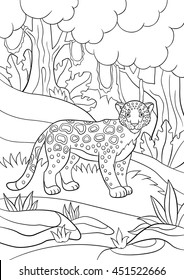 Coloring pages. Cute spotted jaguar stands in the forest and smiles.