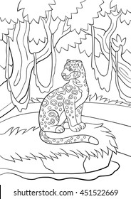 Coloring pages. Cute spotted jaguar sits on the grass in the forest and smiles.