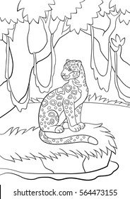 Coloring pages. Cute spotted jaguar sits on the grass in the forest and smiles.