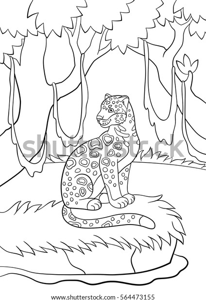 coloring pages cute spotted jaguar sits stock vector