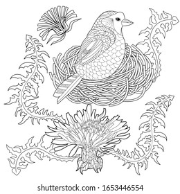 Coloring Pages. Cute wreath with bird, dandelions, cherry flowers, vector illustration in vintage style. Romantic design.