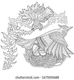 coloring pages of chinas bird