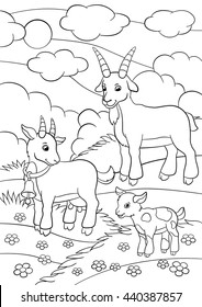 Coloring Pages. Farm Animals. Father Goat Looks At His Baby Goat And Smiles.