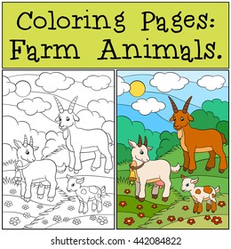 Coloring Pages: Farm Animals. Goat family on the field.