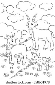 Coloring pages. Farm animals. Goat family in the field.