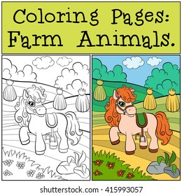 Coloring Pages: Farm Animals. Little cute pony stands on the field and smiles.